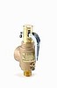 Steamaster HPJ-2S Safety Valve ( 100 psi )